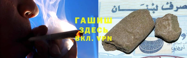 стаф Бородино