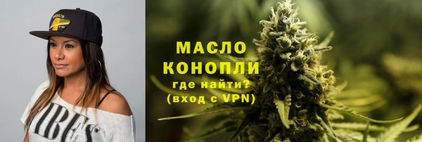 стаф Бородино