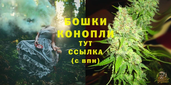 гидра Бугульма