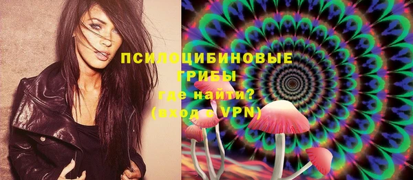 соль ск Бронницы