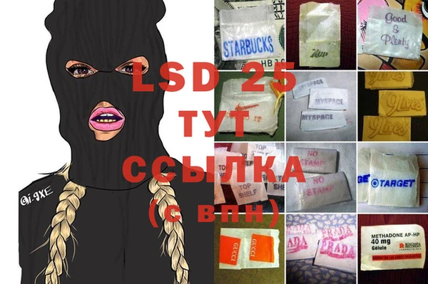 стаф Бородино