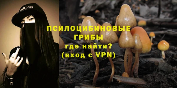 соль ск Бронницы