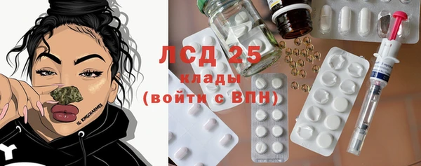 стаф Бородино