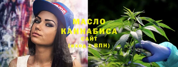 стаф Бородино