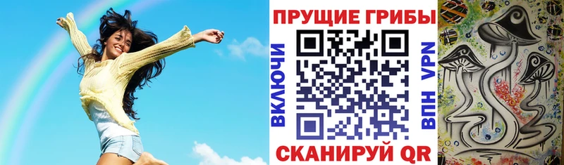 Псилоцибиновые грибы мицелий  маркетплейс Telegram  Шахты  купить наркоту 